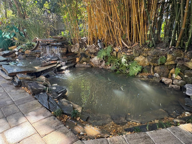 Koi Pond with Multi-Tiered Waterfall