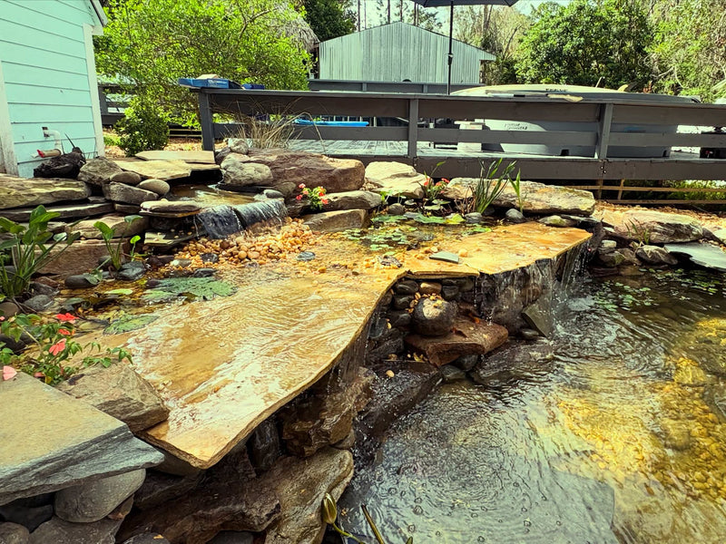 Turtle Pond with Extensive Filtration Systems